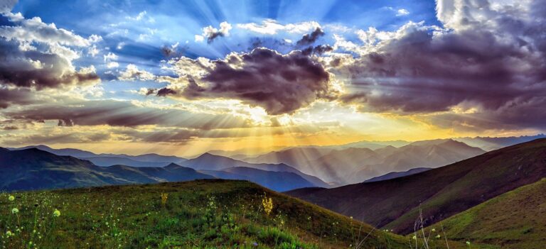 I benefici dello yoga “della” natura