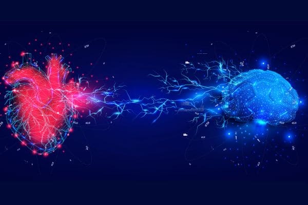 Frequenze a unire cuore e cervello: come l'HRV e il cuore comunicano col cervello